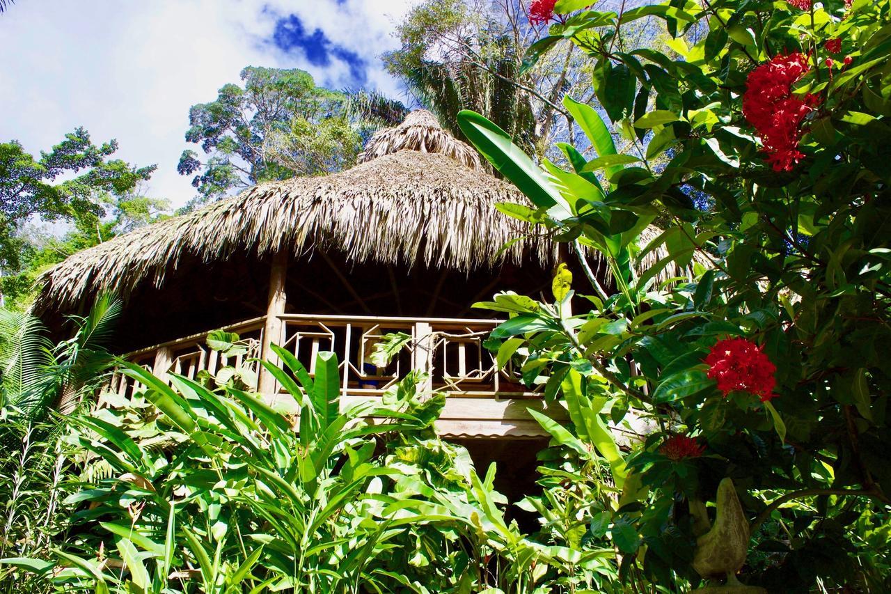 Villas Pico Bonito La Ceiba Exterior foto